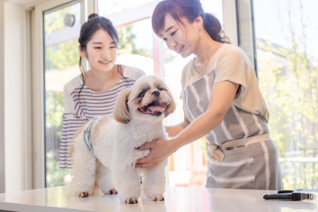 求人情報